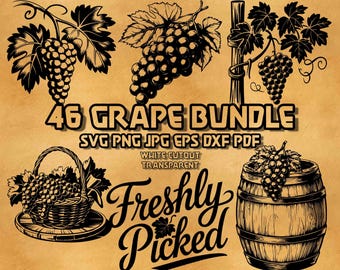 Paquete de 46 imágenes SVG de uvas, ilustraciones de viñedos dibujadas a mano, arte lineal de racimos de uvas, grabado láser, gráficos vectoriales de hojas de vid, diseño rústico.