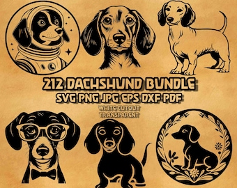 Dachshund SVG 212 Paquete de ilustraciones de perros salchicha Perro salchicha Caballero Contorno Dachshund PNG Gráficos vectoriales en negrita para grabado por sublimación
