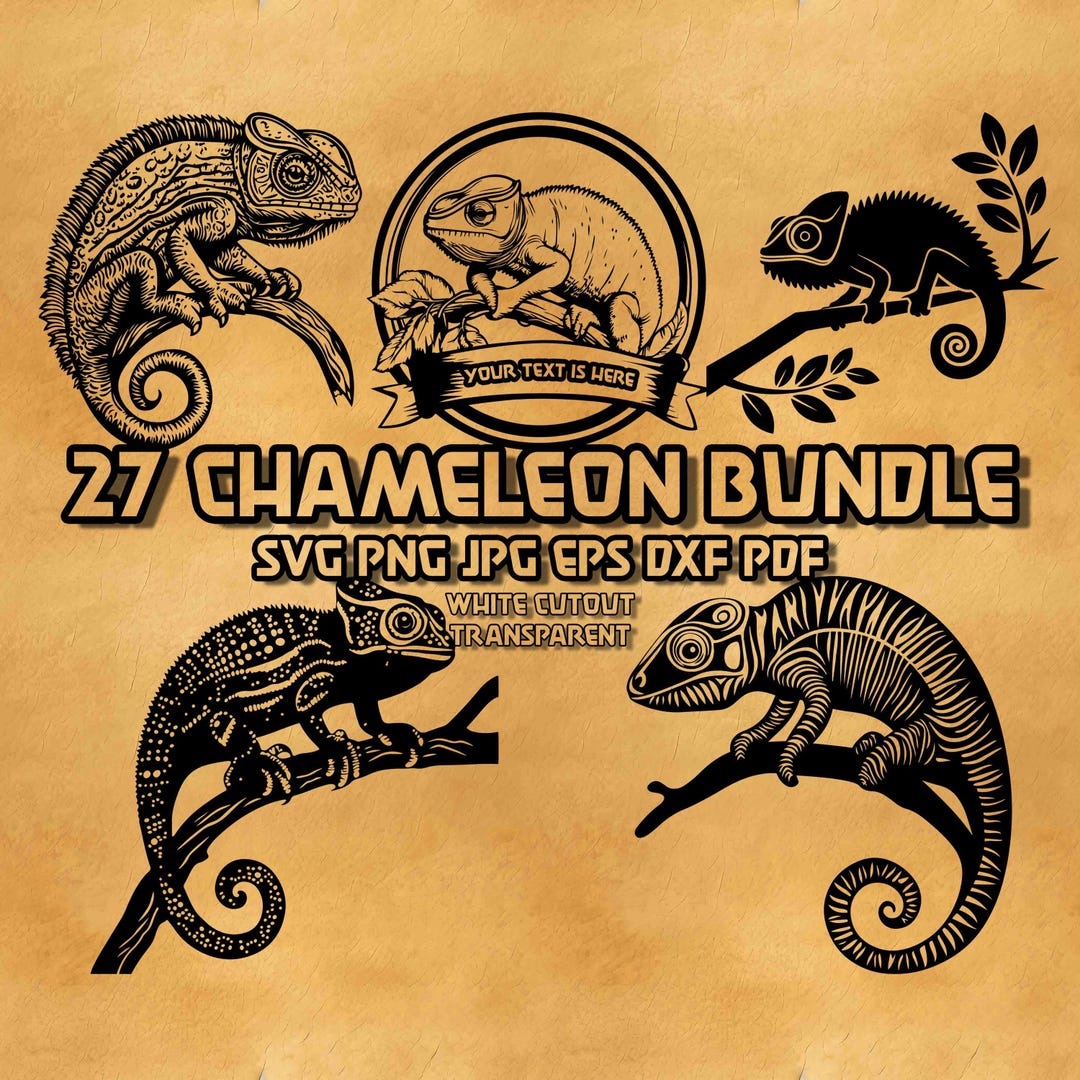 Tropical Chameleon SVG Bundle, Reptile Png, Tropical Exotic Animal Png ...
