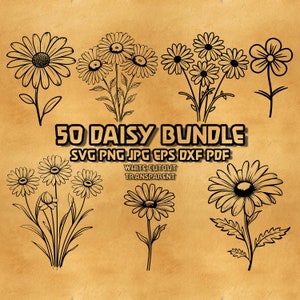 Daisy Bundle Svg, Daisy png Bundle, Flower svg, Floral svg bundle, daisy flower svg, Wildflower svg, Daisy Svg File, gerbera daisy svg