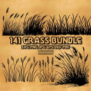 Grass Silhouette SVG Bundle: Botanical Meadow, Pampas, Reeds (Digital Product)