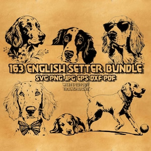 English Setter SVG Bundle: Floral, Sunglasses, Peeking (Digital Product)