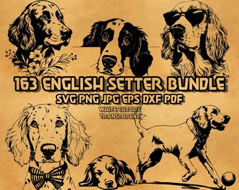 English Setter SVG Bundle: Floral, Sunglasses, Peeking (Digital Product)