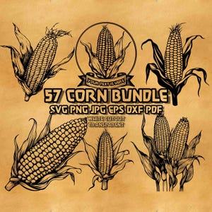 May include: Black and white corn bundle graphic with text. The image features several corn illustrations with leaves, and the text "57 CORN BUNDLE" with file type options. The background is a tan color.