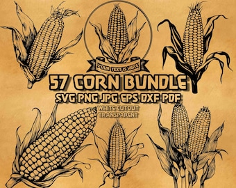Corn SVG Bundle Farmhouse Harvest Illustrations Autumn Thanksgiving Line Art Rustic Corn Cob Vector Graphics Country Farm Digital Design