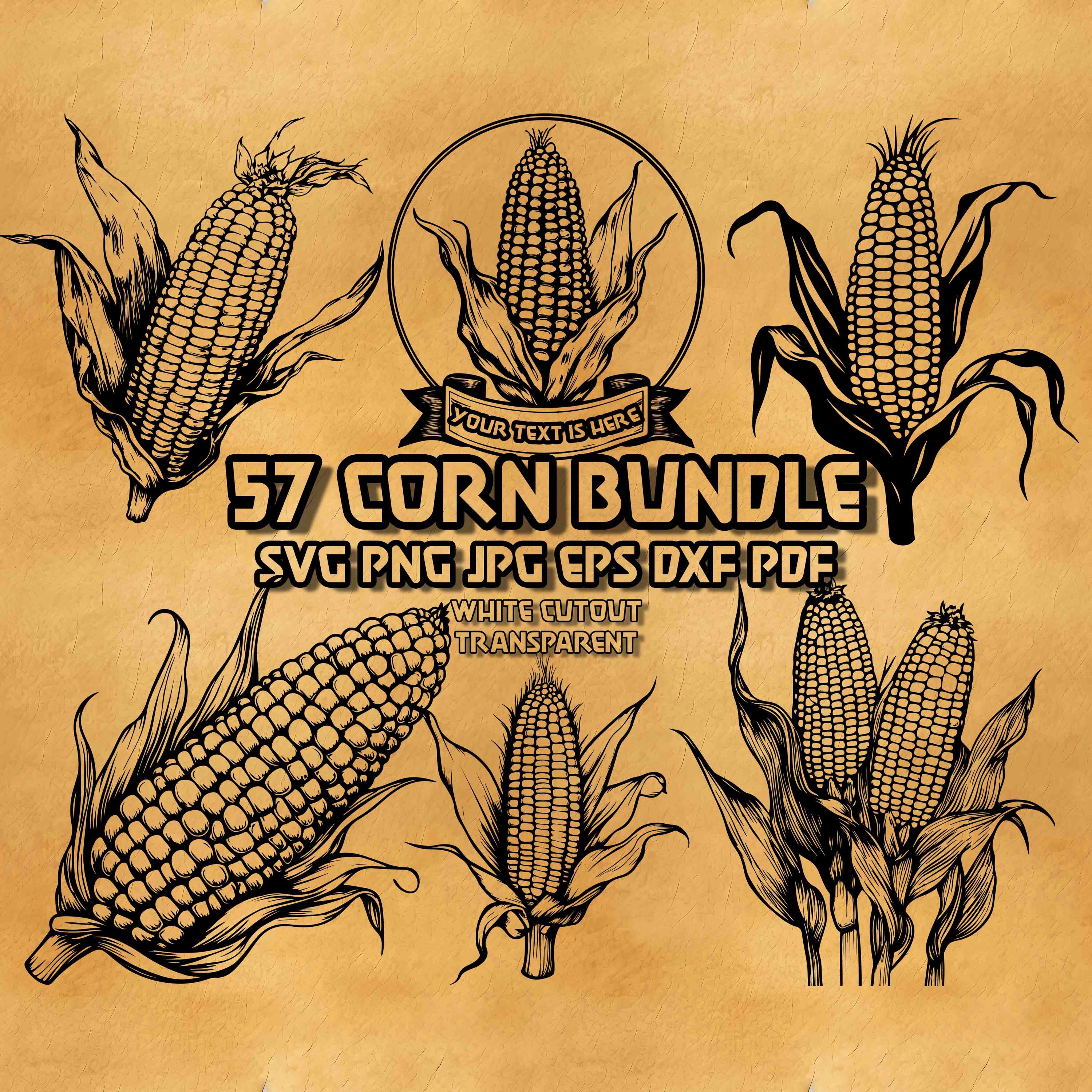 Rustic Corn Svg Corn SVG Bundle Farmhouse Harvest Illustrations Autumn Thanksgiving ...