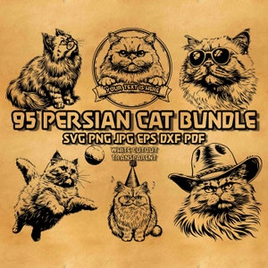 SVG-bundel Perzische kat: bloemen, cowboy, glurende kat (digitaal product)