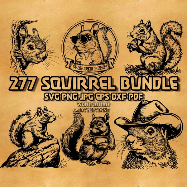 Squirrel Svg Bundle, Squirrel monogram svg, Squirrel with text banner svg,  Squirrel wear Cowboy hat Svg, Floral Squirrel Sunglass Svg Png