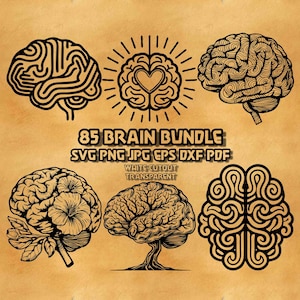 May include: A digital collection of 85 brain illustrations featuring various black line art designs including a maze brain, a heart-centered brain, a floral brain, and a tree-shaped brain with the text 85 BRAIN BUNDLE SVG PNG JPG EPS DXF PDF.