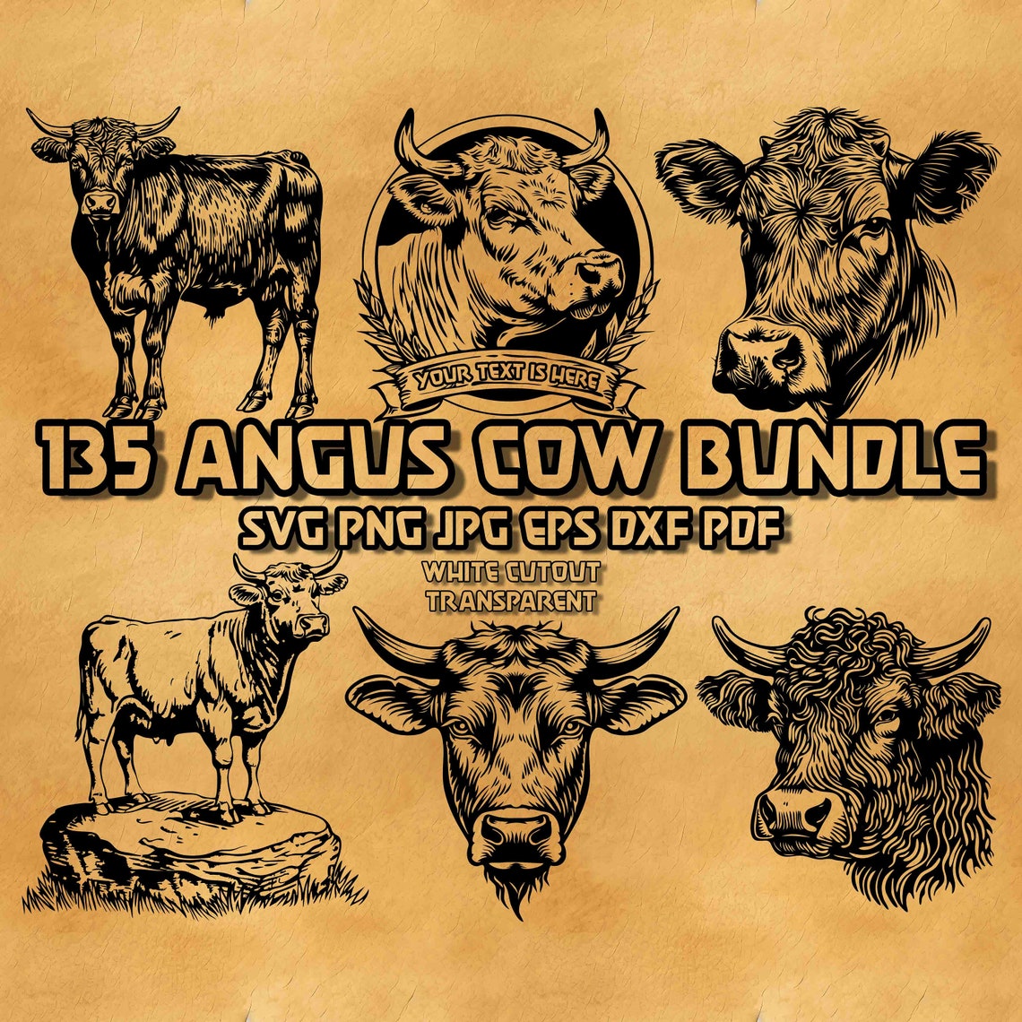 Angus Cow SVG Bundle: Personalized Farm Animal Designs (PNG, EPS) - Etsy
