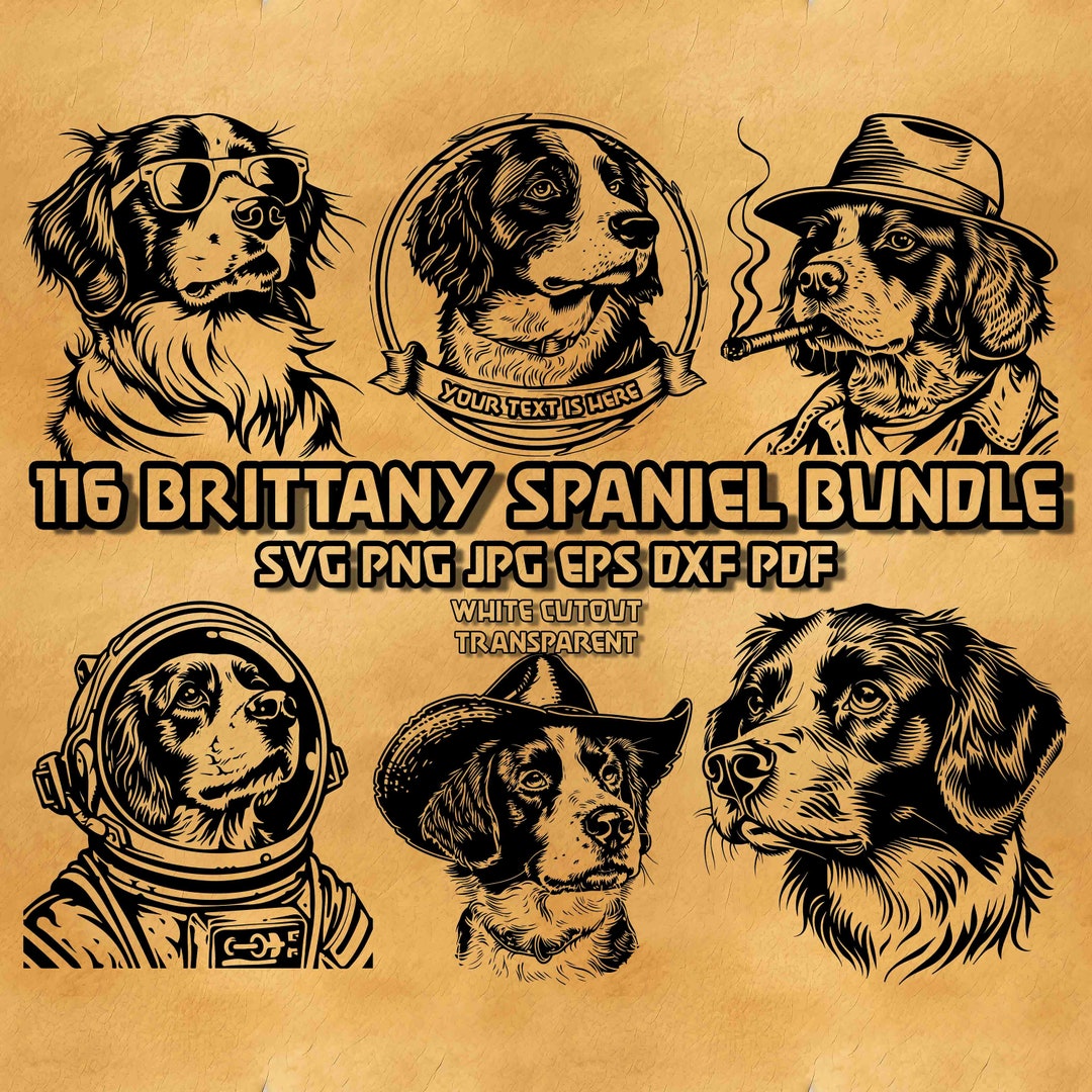 Brittany Spaniel Svg Bundle, Brittany Spaniel Monogram Svg, Peeking ...