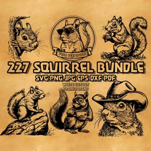 May include: A collection of black and white squirrel illustrations in various poses, including one wearing sunglasses and another with a cowboy hat. The text "227 SQUIRREL BUNDLE" is displayed prominently, along with file type information.