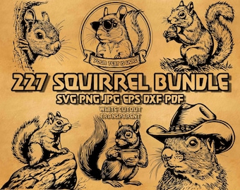 Squirrel Svg Bundle, Squirrel monogram svg, Squirrel with text banner svg,  Squirrel wear Cowboy hat Svg, Floral Squirrel Sunglass Svg Png