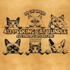May include: A digital download bundle of 413 peeking cat illustrations in black and white. The bundle includes 86 different cat breeds and comes in SVG, PNG, JPG, EPS, DXF, and PDF formats. The text "White Cutout Transparent" is also included in the image.