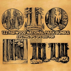 Redwood Nationalpark SVG-Bundle, Monogramm Redwood-Baum-Svg, Riesige Bäume Clipart, Laser-Gravur-Datei, Großer Baum Svg, Wald, Küstenbaum