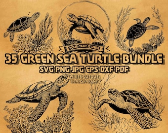 May include: A bundle of 35 black and white vector illustrations of sea turtles in various poses. The illustrations are in a vintage style and feature coral and seaweed. The text "35 Green Sea Turtle Bundle" is at the top of the image. The text "SVG PNG JPG EPS DXF PDF" is below the title. The text "White Cutout Transparent" is below the file types.