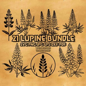 Könnte beinhalten: Ein digitales Download-Paket mit 21 Schwarzweiß-Linienzeichnungen von Lupinenblüten. Der Text "21 LUPINE BUNDLE" ist in fetten, schwarzen Buchstaben. Der Text "SVG PNG JPG EPS DXF PDF" ist in schwarzen Buchstaben. Der Text "WHITE CUTOUT TRANSPARENT" ist in schwarzen Buchstaben.