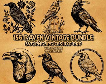 Raven SVG Halloween Crow Illustrations Bundle 156 Vintage Engraved Woodcut Ornate Emblem Ribbon Banner Stencil SVG PNG Vector Graphics