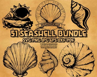 Paquete de archivos SVG de conchas marinas: Diseños náuticos para bodas en la playa (Descarga digital)