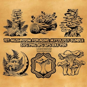 Op de afbeelding: Een digitale grafische collectie met zwarte lijntekeningen van diverse paddenstoelen, boomstammen en varens. De tekst luidt 107 MUSHROOM FORAGING MYCOLOGY BUNDLE SVG PNG JPG EPS DXF PDF en WHITE CUTOUT TRANSPARENT op een beige achtergrond.