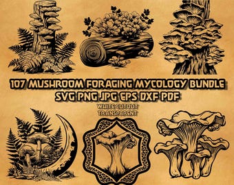 Mushroom SVG Bundle 107 Designs Foraging Mycology Illustrations Line Art Clipart Vector Graphics Digital Design Collection Set Files