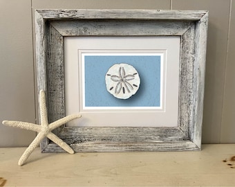 Sand Dollar Art Print