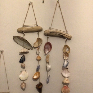 May include: Two seashell wind chimes hanging on a wall. Each chime has a piece of driftwood at the top, with various seashells suspended below on strings. The shells are in shades of white, brown, and tan.