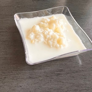 LIVE Kefirkorrels| Actieve Melkkefir| Biologisch