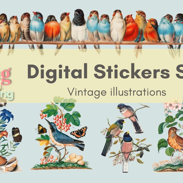 Digital Stickers Set Pre-cropped Stickers of Vintage Bird Illustrations - GoodNotes, Notability