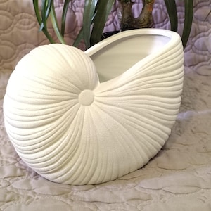May include: A white, seashell-shaped ceramic planter. The planter has a textured surface with a spiral design and a smooth interior. The opening is oval-shaped, and the planter is sitting on a patterned surface.