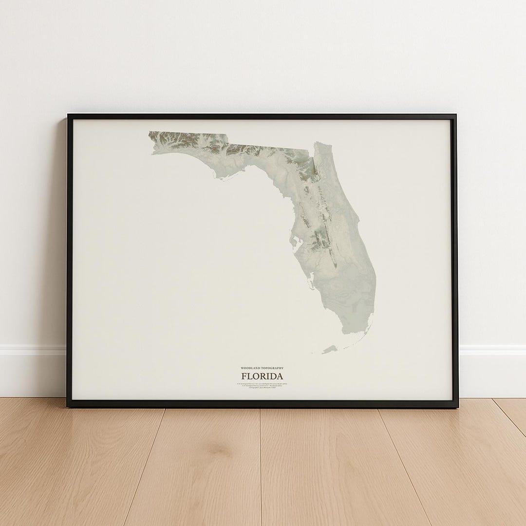Topographic Map Frame Florida Topographic Map Art Print: Cartographer-designed Giclée, Frame ...