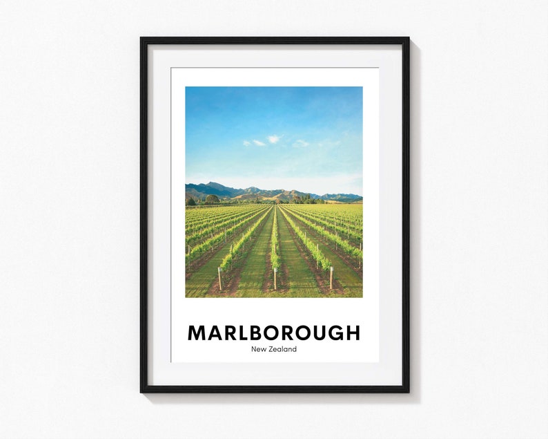 Puede incluir: Una impresi&oacute;n enmarcada con una fotograf&iacute;a de un vi&ntilde;edo en Marlborough, Nueva Zelanda. La imagen muestra filas de vides sobre un fondo de colinas onduladas y un cielo azul. El texto "MARLBOROUGH" y "Nueva Zelanda" est&aacute; impreso debajo de la imagen.