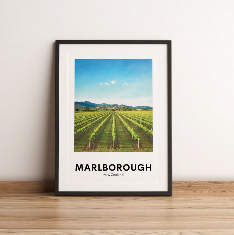 Puede incluir: Una impresi&oacute;n enmarcada con una fotograf&iacute;a de un vi&ntilde;edo en Marlborough, Nueva Zelanda. El texto "MARLBOROUGH" y "Nueva Zelanda" est&aacute; impreso debajo de la imagen.