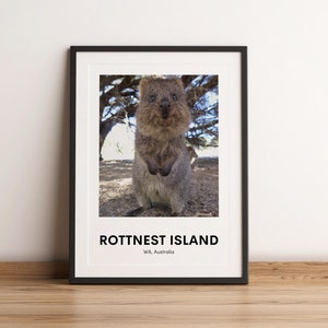 Rottnest Island Art Print, Rottnest Island Travel Poster, Rottnest Island Wall Art, Quokka, Quokka Print, Digital Download, Printable
