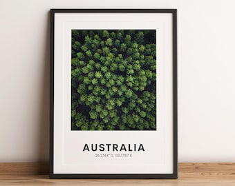 Australia Forest Photography Print, Travel Poster (Digital Download)