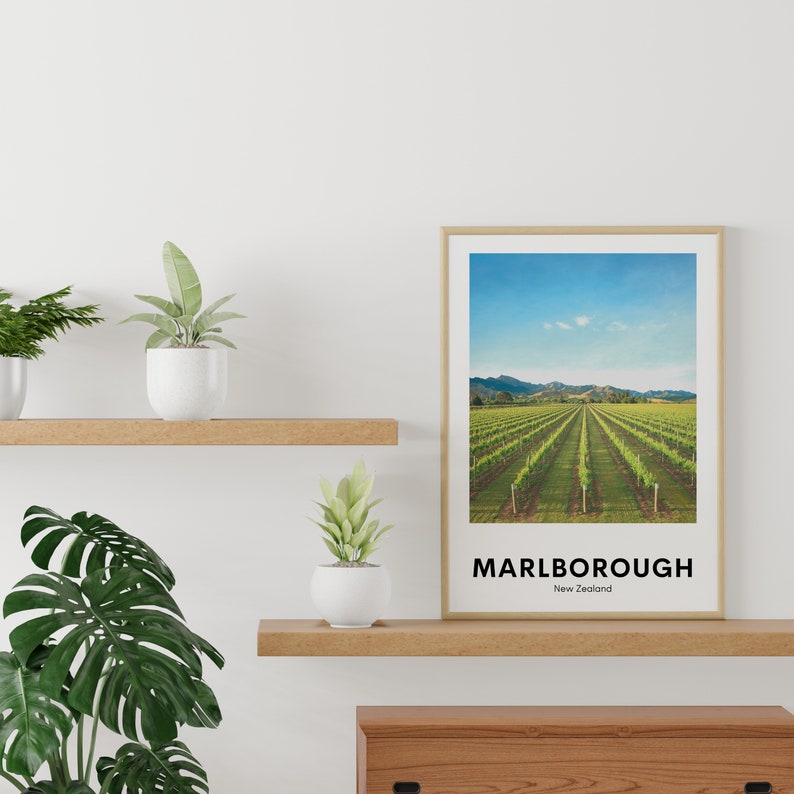 Puede incluir: Una impresi&oacute;n enmarcada de un paisaje de vi&ntilde;edo con un cielo azul y colinas verdes en el fondo. El texto "MARLBOROUGH Nueva Zelanda" est&aacute; impreso debajo de la imagen.