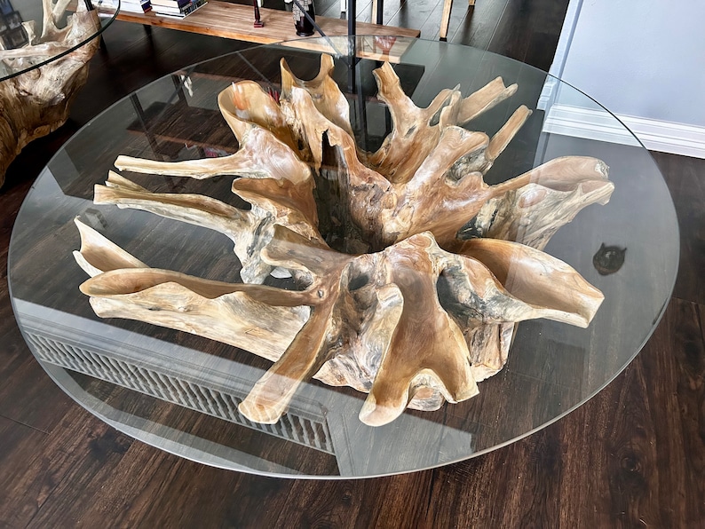 Teak root coffee table with glass top image 2
