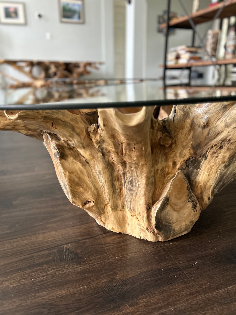 Teak root coffee table with glass top image 6