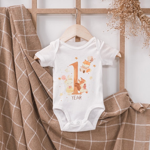 First Birthday One Onesie First Birthday Outfit, One Year