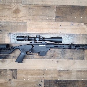 Ruger 10 22, Charger, Precision Wall Mount Display