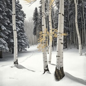 DIGITAL DOWNLOAD -  Aspens in the Snow, Landscape, Pine Trees, Forest