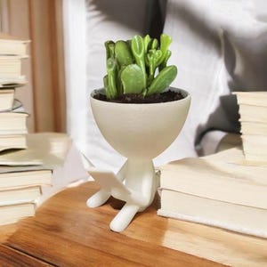 May include: White ceramic planter shaped like a person sitting and reading a book. The planter has a round head and holds a small green succulent plant.