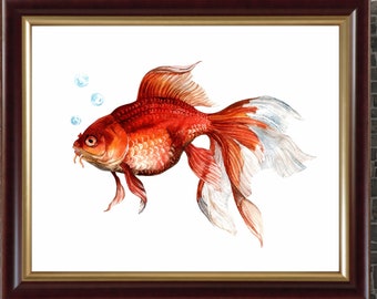 水彩画の魚のプリント - 「日本の金魚」と題された絵画、アジア