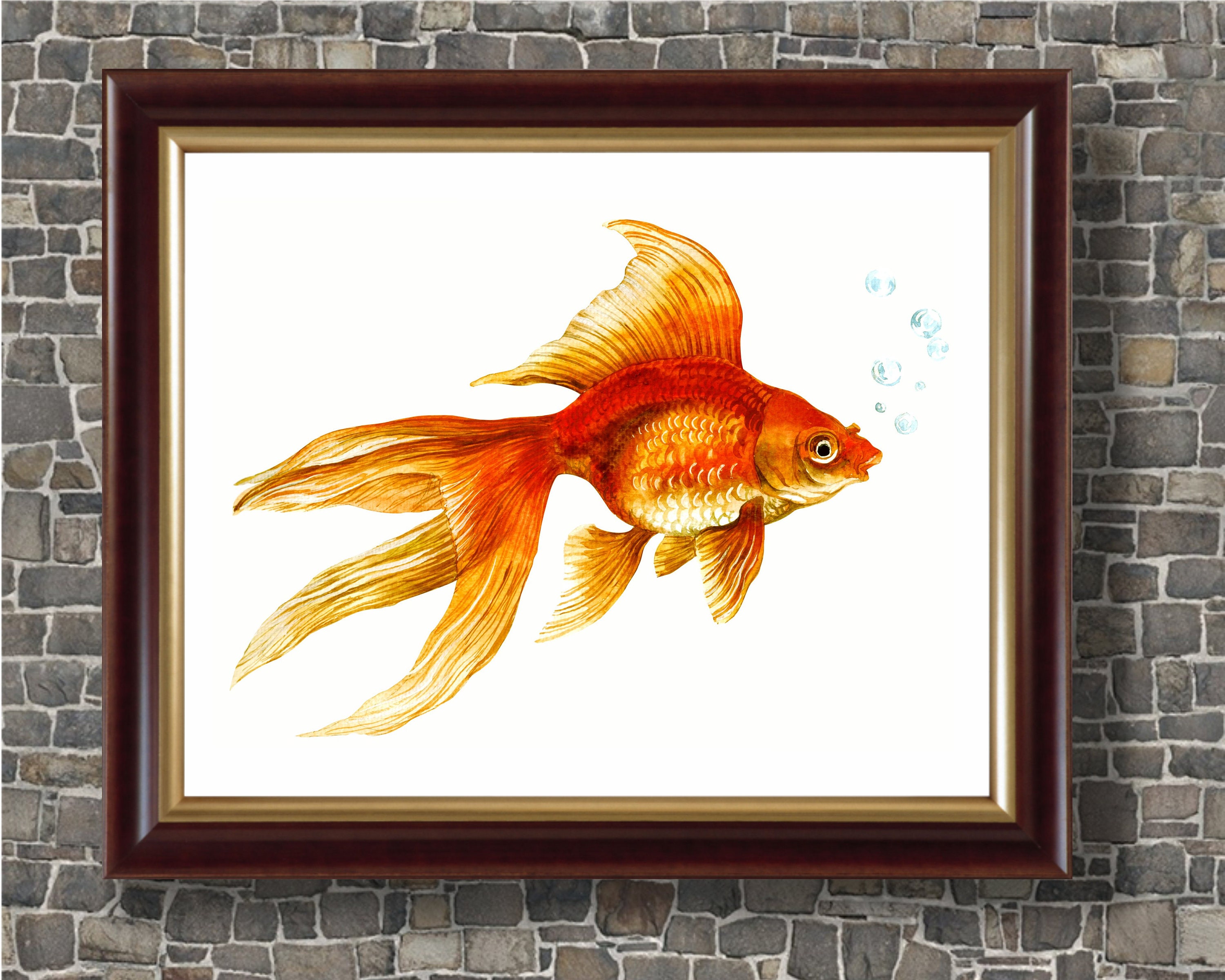 Oranda Goldfish Print Japanese Print Eclectic Wall Art 