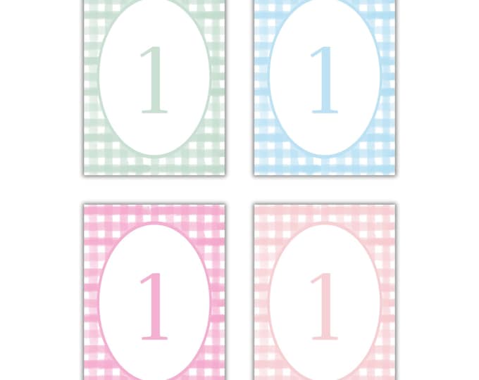 Featured listing image: Fletcher Hand-Drawn Watercolor Gingham Milestone Cards