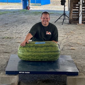Giant Watermelon (145 Jarosh 24)