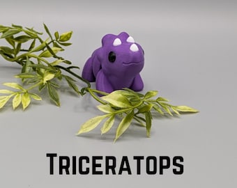Triceratops Flexi Fidget Key Chain, Sensory Toy, 3D Printed Gift, Keychain Accessory, Gift for Dinosaur Lovers, Dinosaur Keychain, Dino Gift