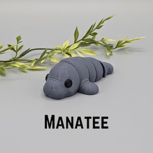 Manatee Flexi Fidget Key Chain, Sensory Toy, 3D Printed Gift, Keychain Accessory, Manatee Gift, Manatee Decor, Gift for Manatee Lover