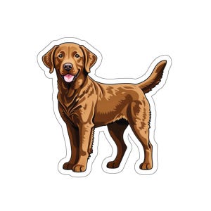 Chesapeake Bay Retriever Sticker, Animal Sticker, Retriever Gift, Dog Decal, Scrapbook Sticker, Chesapeake Bay Lover, Water Bottle Sticker
