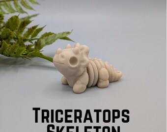 Triceratops Skeleton Flexi Fidget Key Chain, Sensory Toy, 3D Printed Gift, Dino Keychain Accessory, Bag Charm, Triceratops Figurine